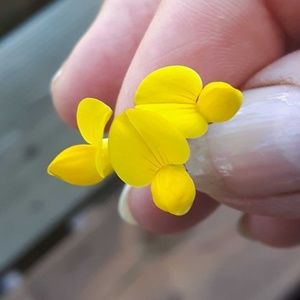 Meet your Posher, Judy